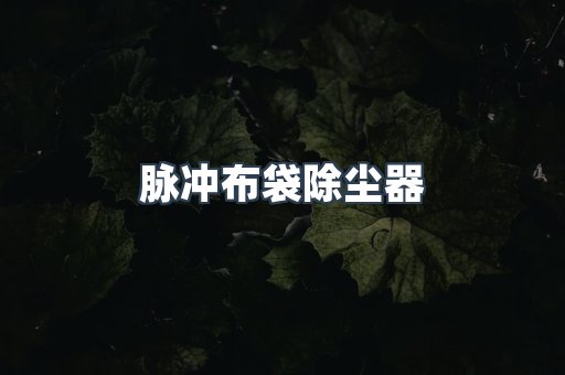 脉冲布袋除尘器