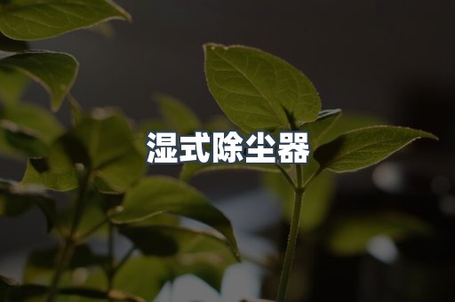 脉冲布袋除尘器